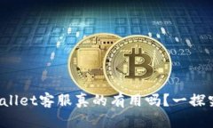 tpWallet客服真的有用吗？一